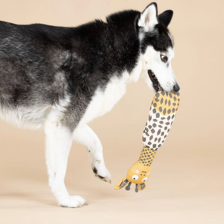 High There Canvas Dog Toy