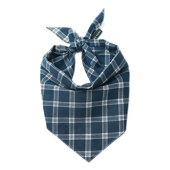 The Paws Slate Plaid Bandana for Dogs and Cats
