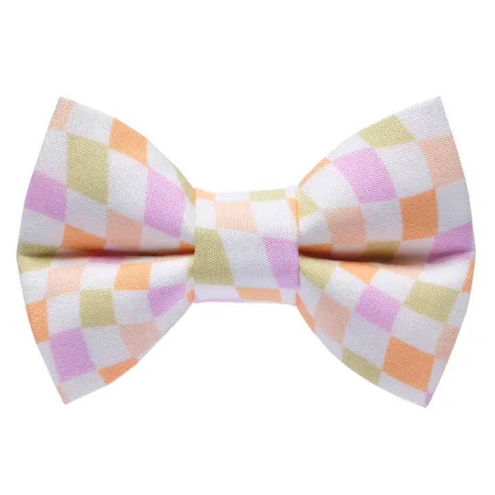 The Game Plan Bow Tie Attachment for Collar