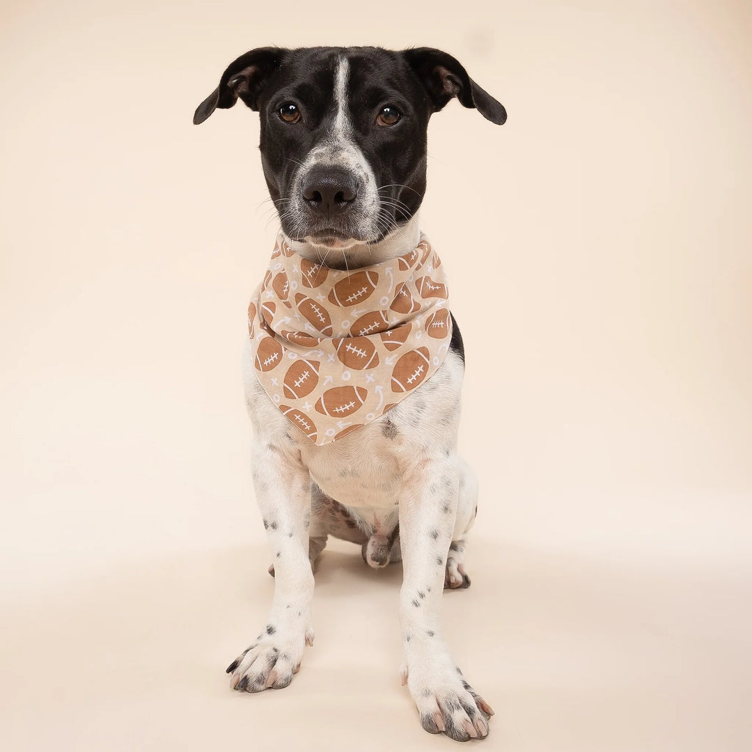 The Paws Blitz Bandana for Dogs and Cats