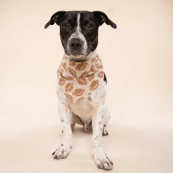 The Paws Blitz Bandana for Dogs and Cats