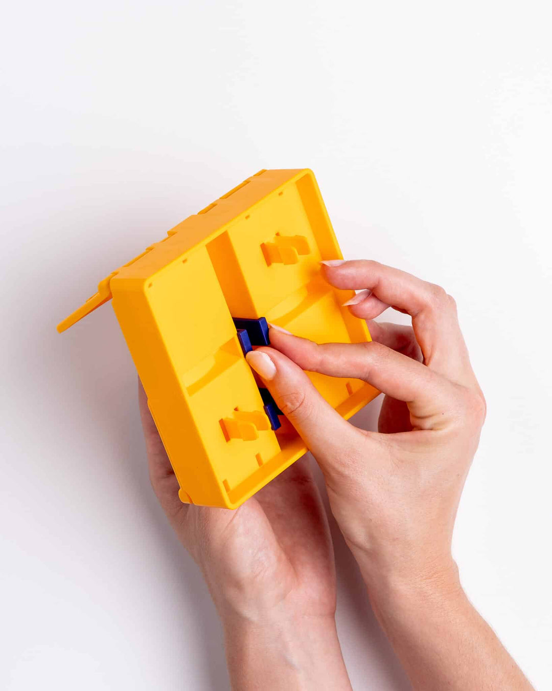 Pawzler Piper Individual Pawzle