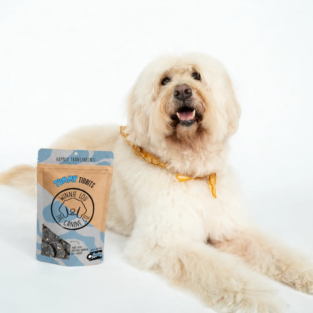 Tummy Tidbits Charcoal Dog Treats 4oz