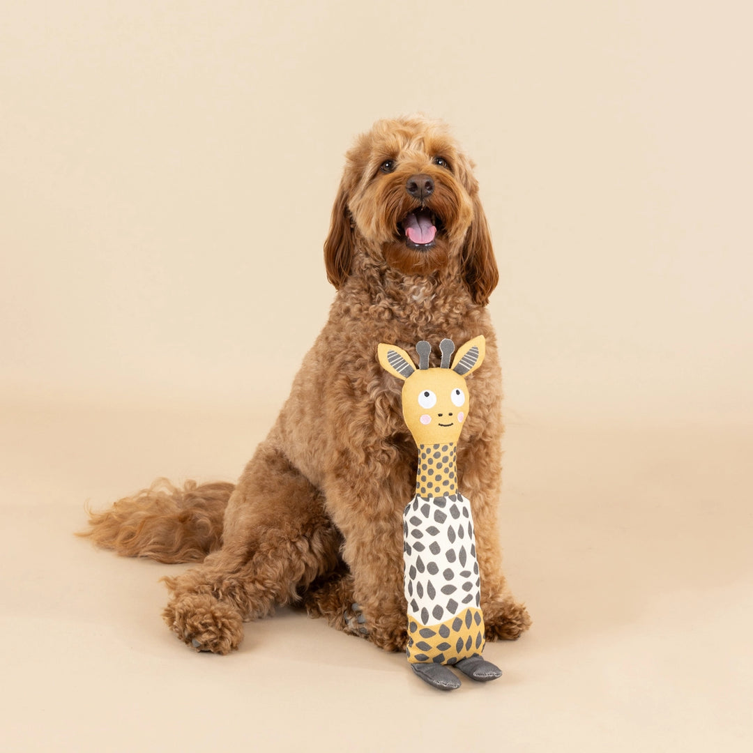 High There Canvas Dog Toy