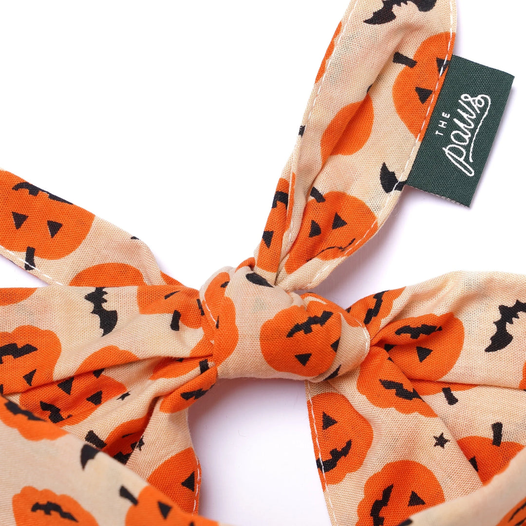 The Paws Pupkin Bandana for Dogs and Cats