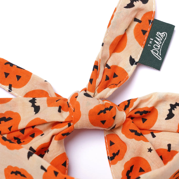 The Paws Pupkin Bandana for Dogs and Cats