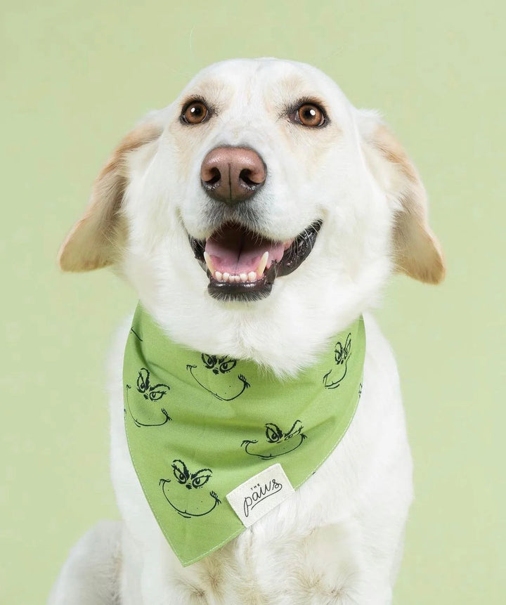The Paws Grinch Bandana for Dogs and Cats