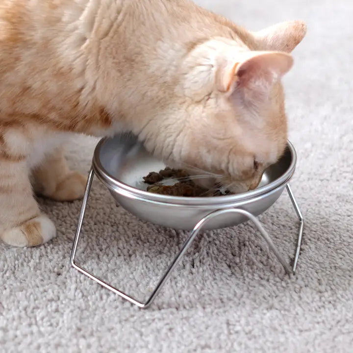 Stainless Steel Elevated Stand and Cat Bowl