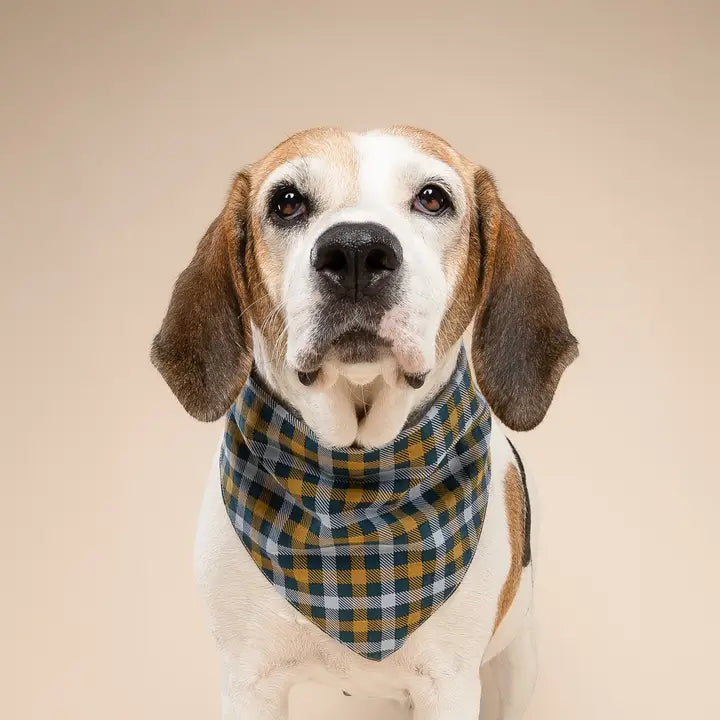 The Paws Maple Bandana for Dogs and Cats