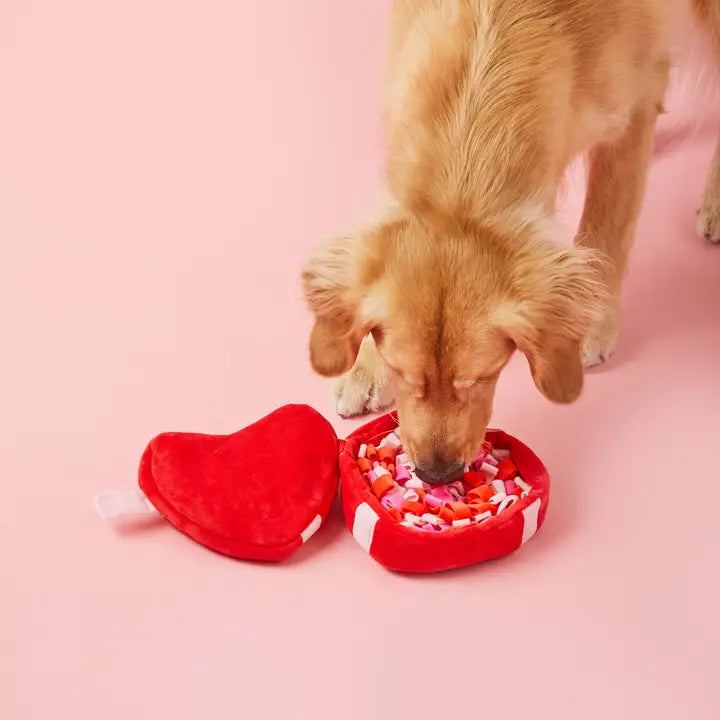 Be My Valentine Interactive Snuffle Dog Toy
