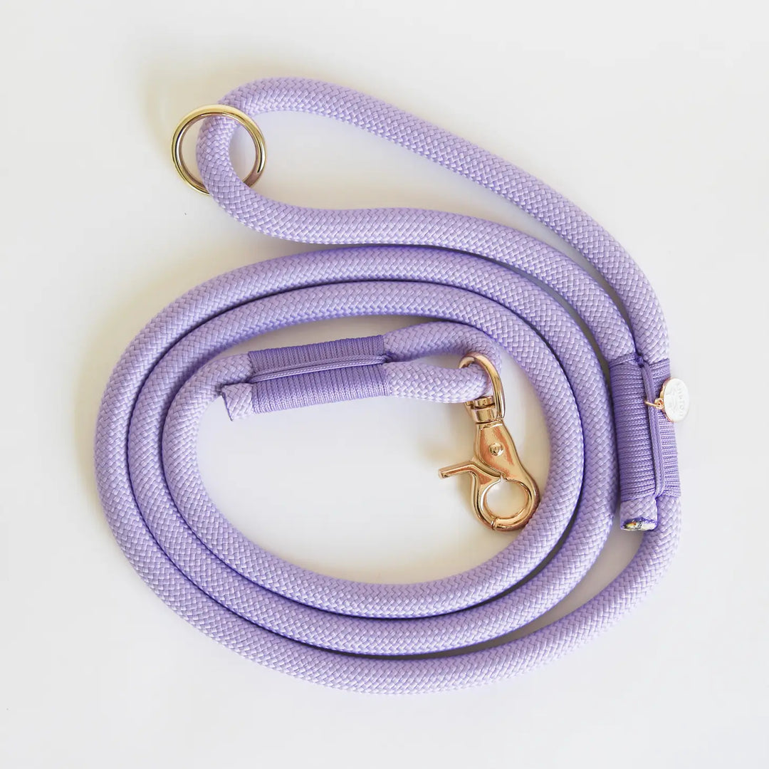 Lavender Braided Rope Dog Leash