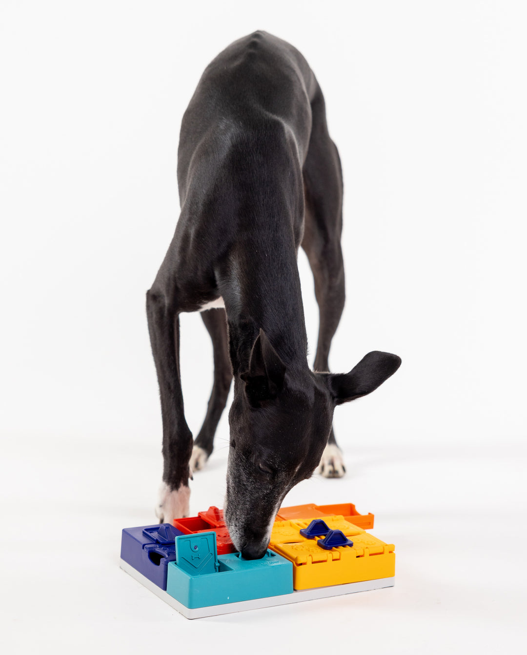 Pawzler Genius Set Modular Puzzle Enrichment and Slow Feeding System