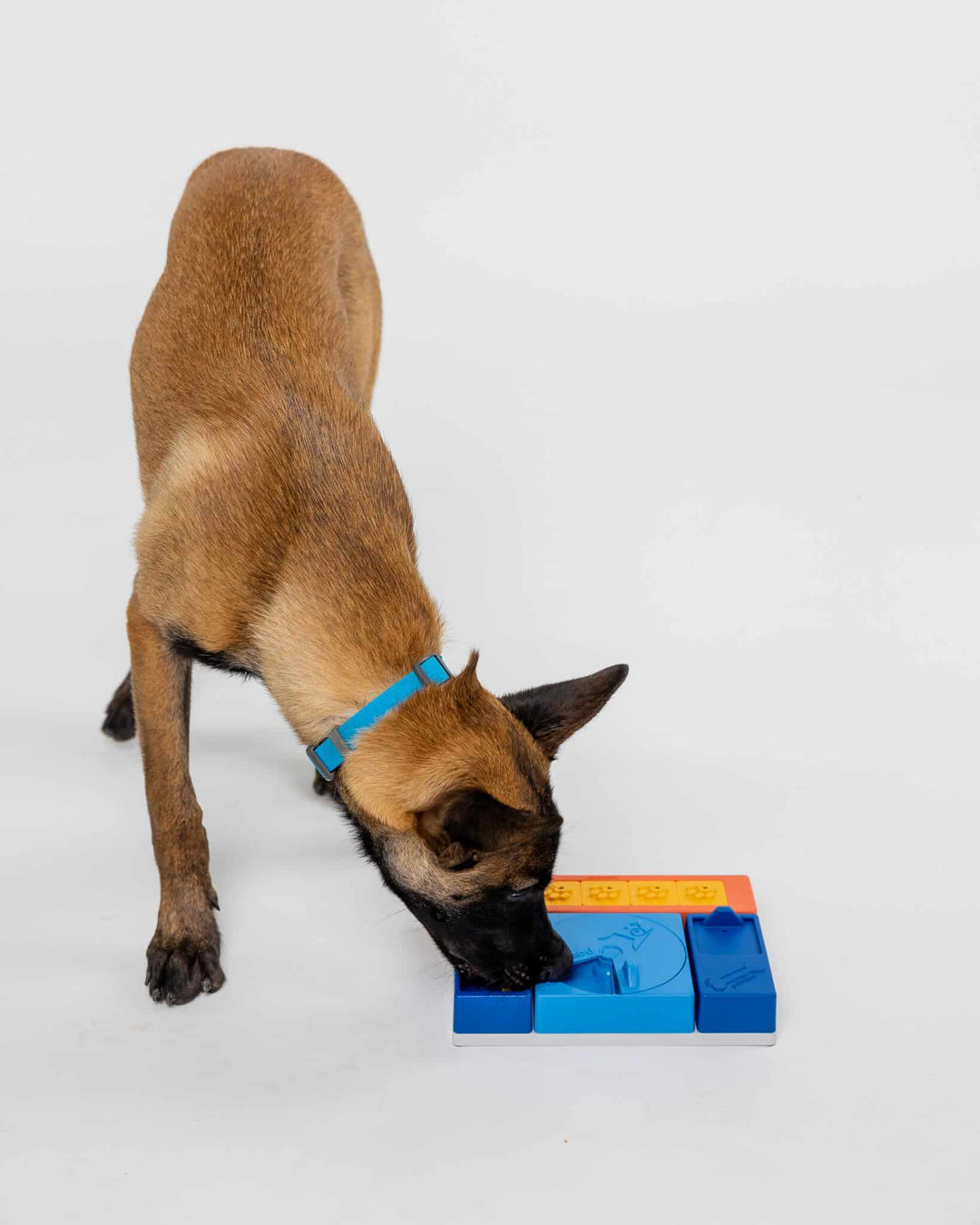 Pawzler Beginner Set Modular Puzzle Enrichment and Slow Feeding System