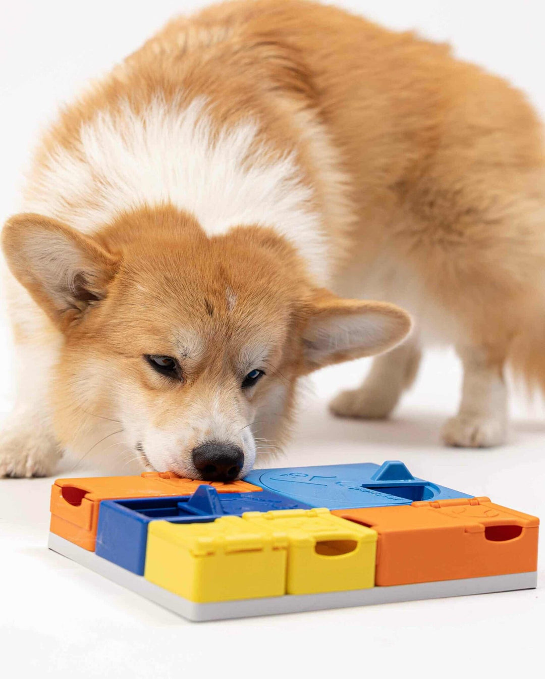 Pawzler Rainbow All in One Level Set Modular Puzzle Enrichment and Slow Feeding System