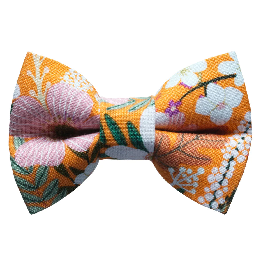 Force of Nature Cat Bow Tie