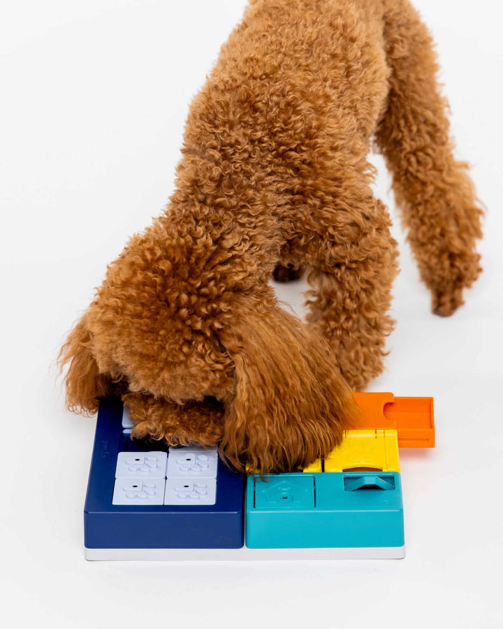 Pawzler Smarty Set Modular Puzzle Enrichment and Slow Feeding System