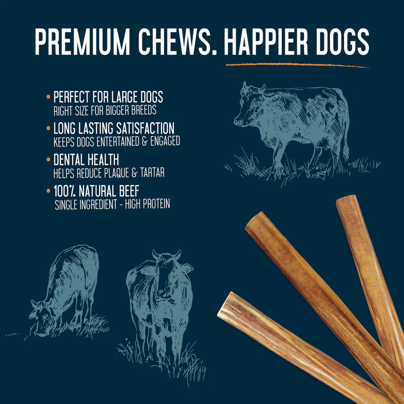 DOGGINSTIX Beef Bully Stick Treat for Dogs 12"