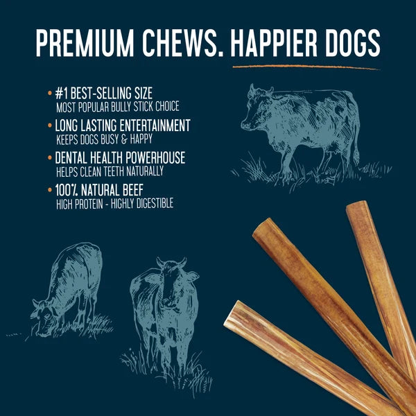DOGGINSTIX Beef Bully Stick Treat for Dogs 6"