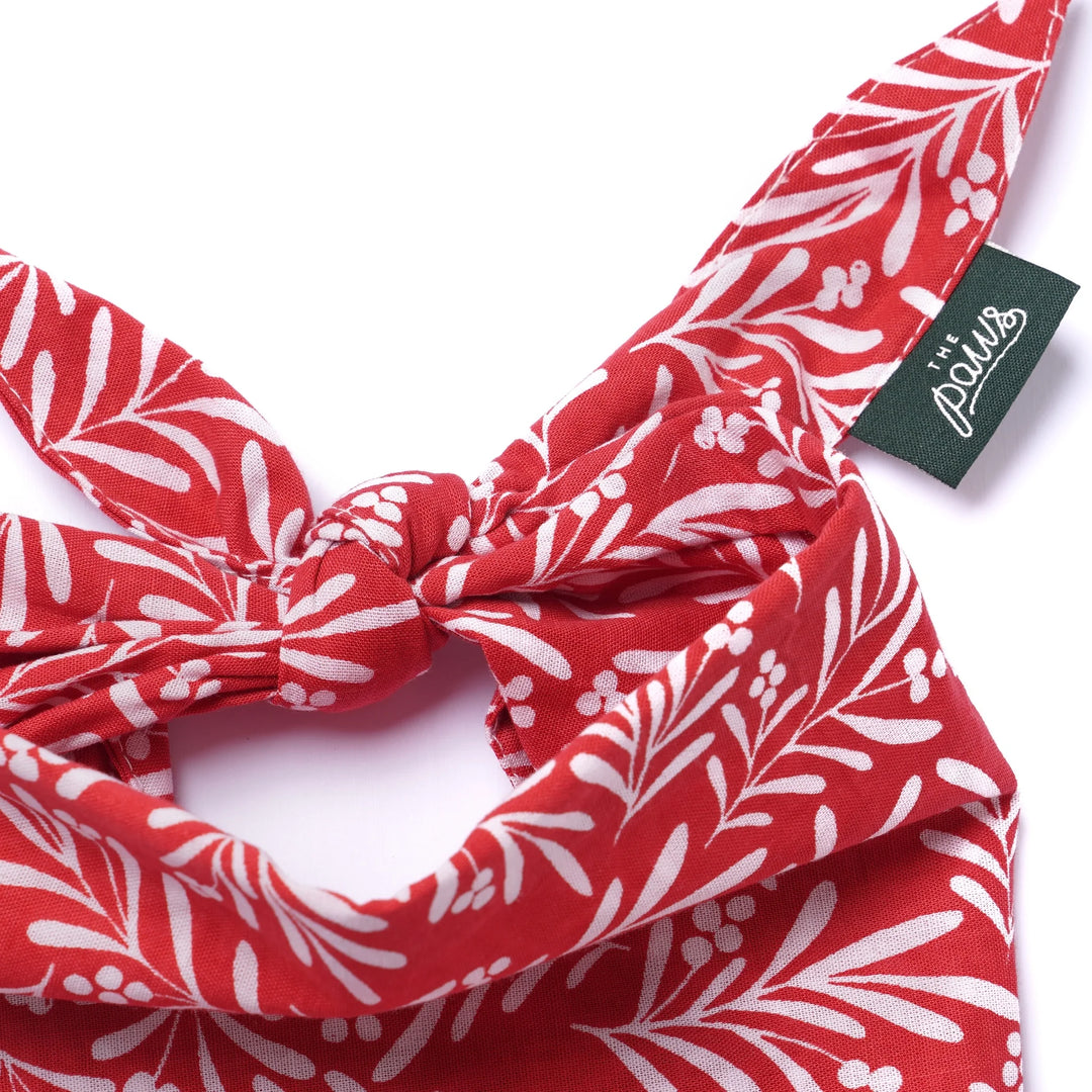 The Paws Noel Berry Bandana for Dogs and Cats