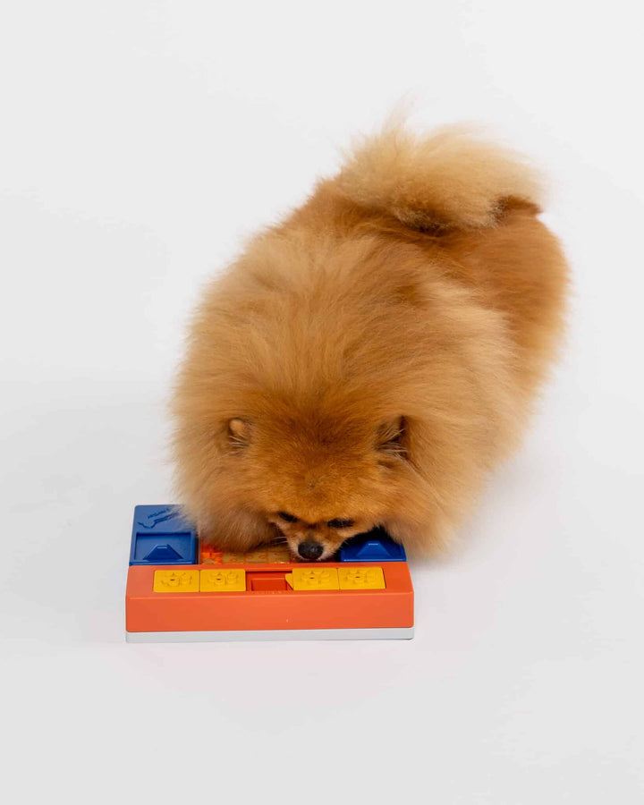 Pawzler Beginner Set Modular Puzzle Enrichment and Slow Feeding System