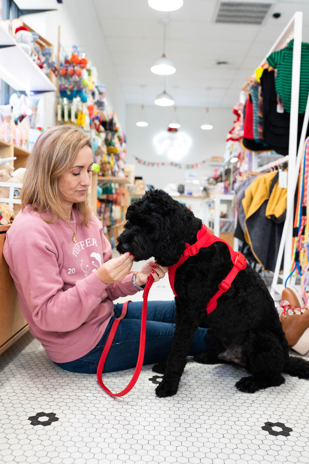 Toiffer Waterproof Leash Scarlet Red