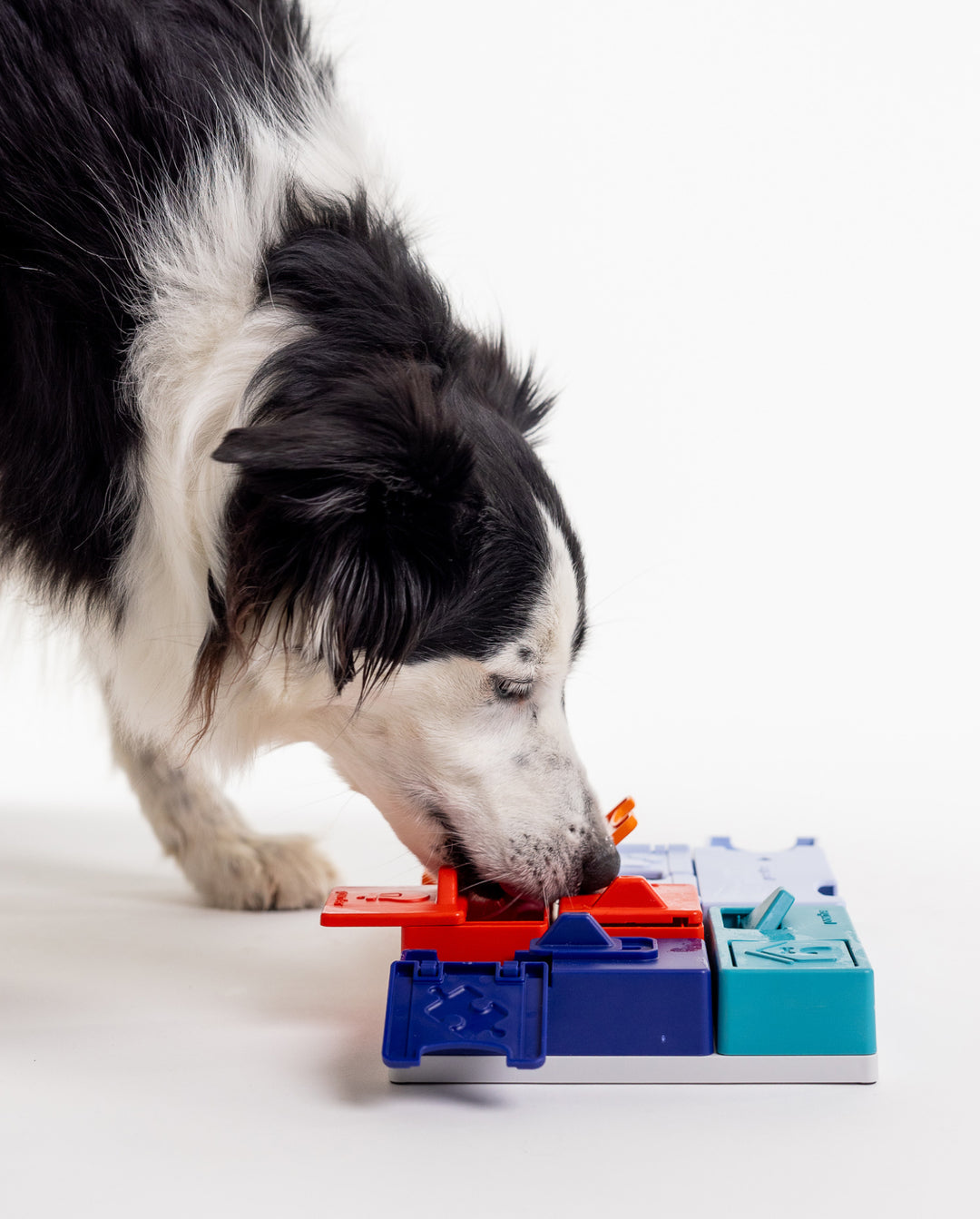 Pawzler Genius Set Modular Puzzle Enrichment and Slow Feeding System
