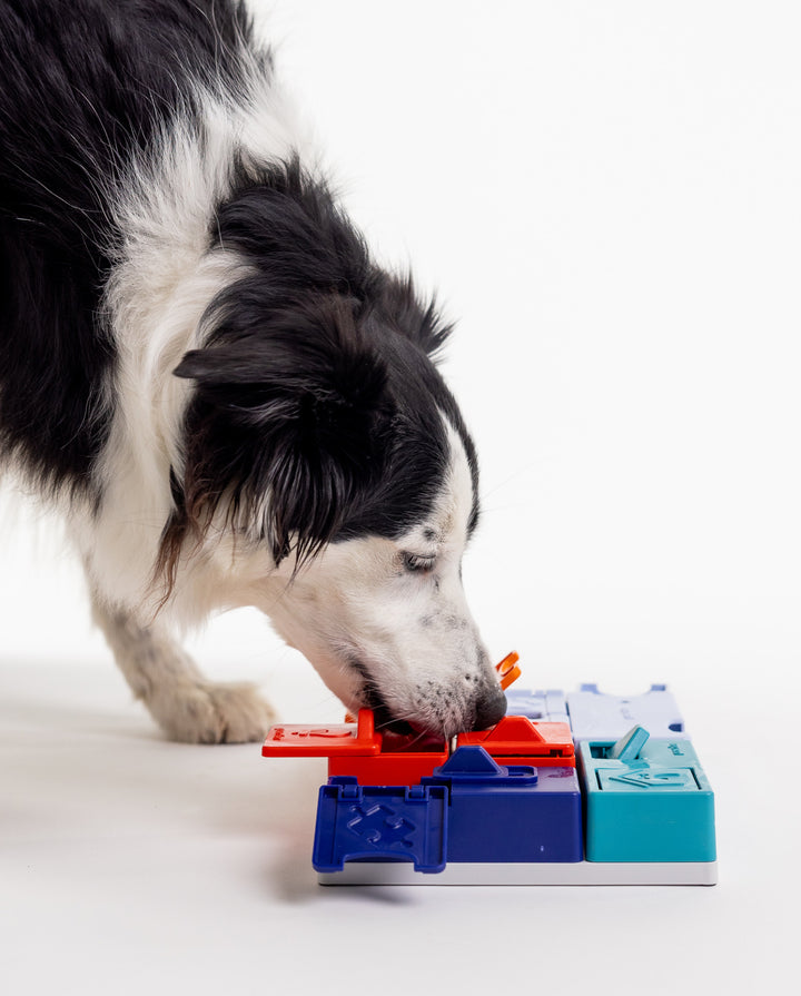 Pawzler Genius Set Modular Puzzle Enrichment and Slow Feeding System