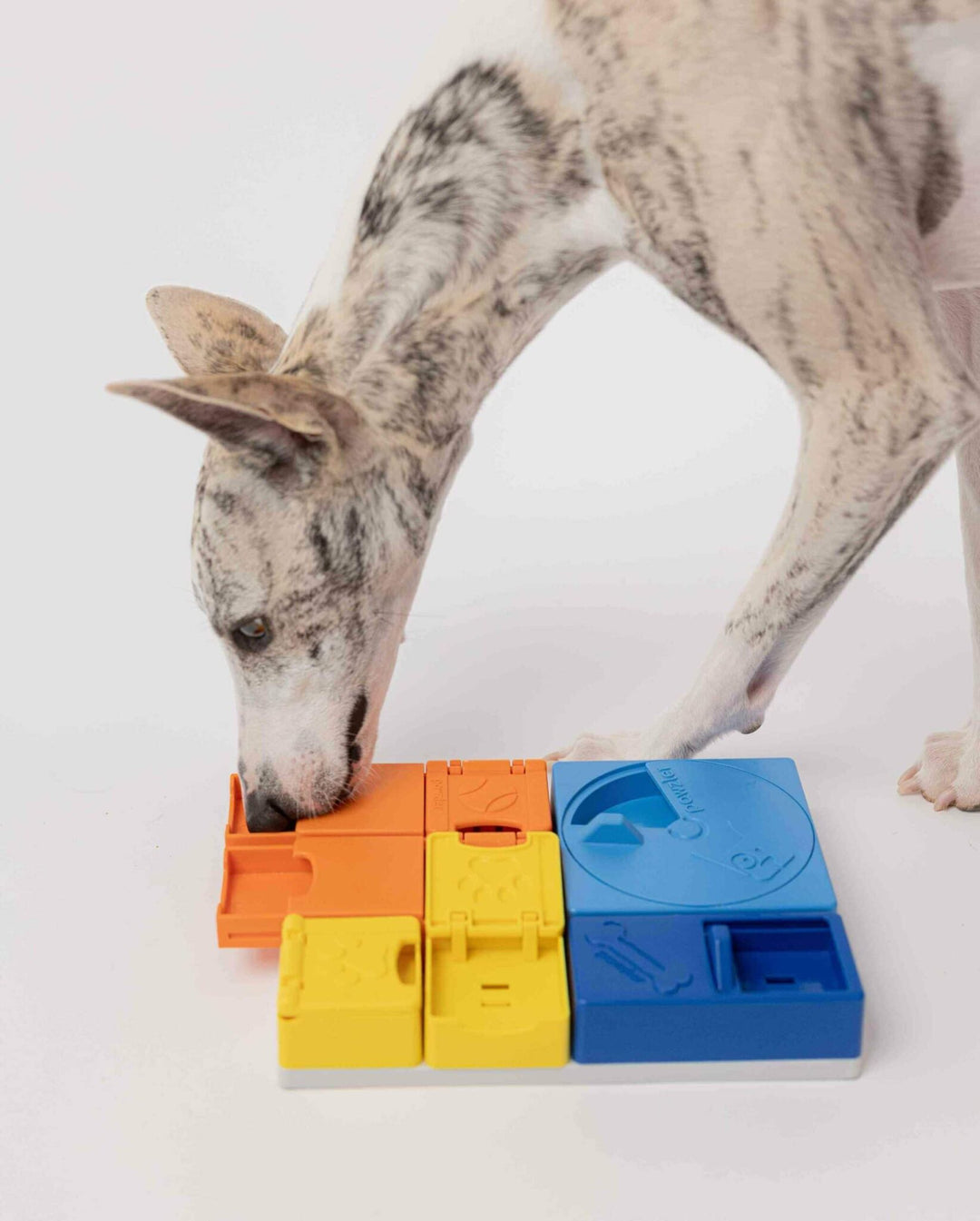 Pawzler Rainbow All in One Level Set Modular Puzzle Enrichment and Slow Feeding System