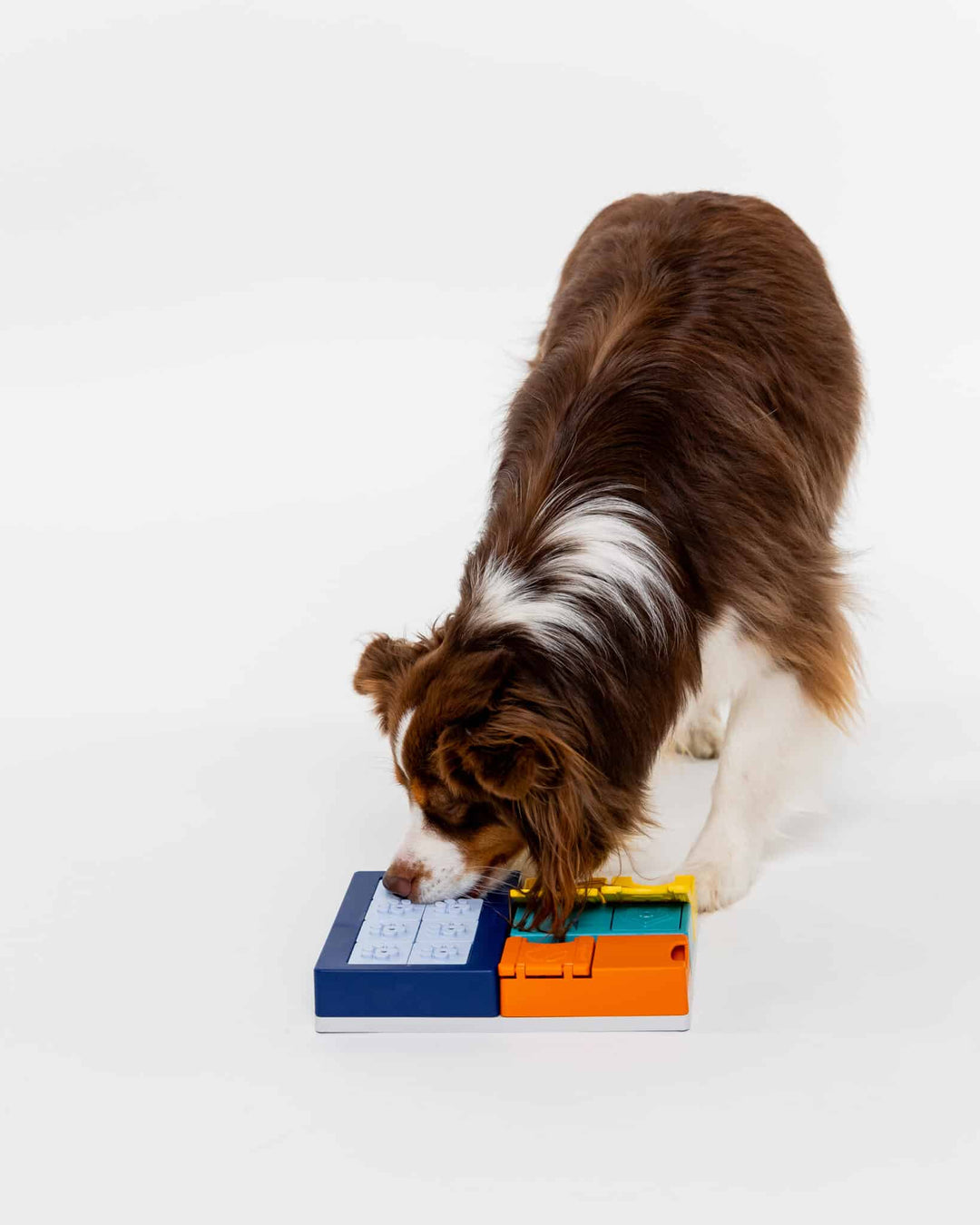 Pawzler Smarty Set Modular Puzzle Enrichment and Slow Feeding System