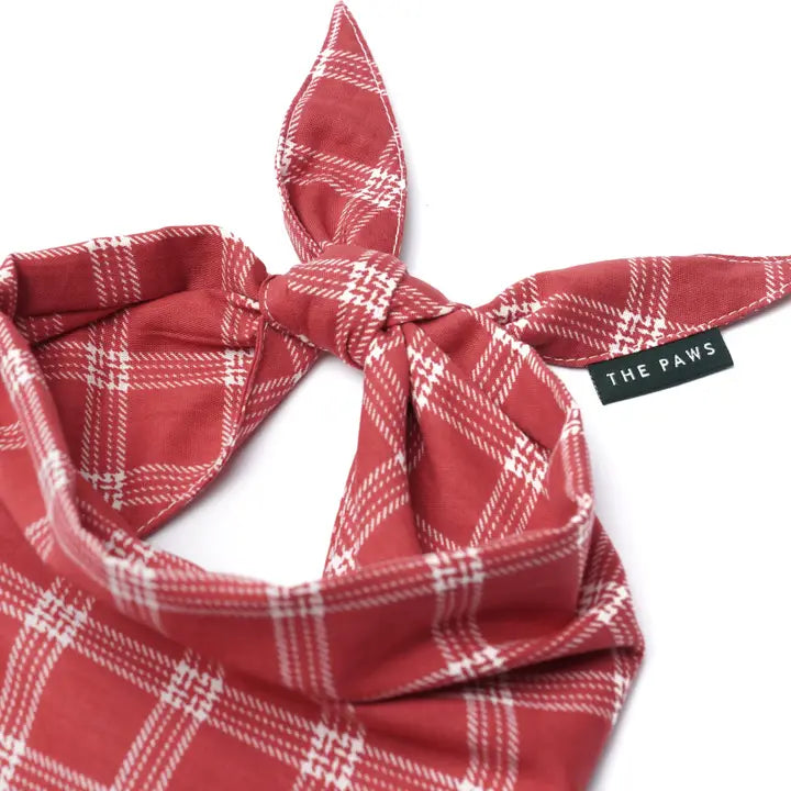 The Paws Cider Bandana for Dogs and Cats