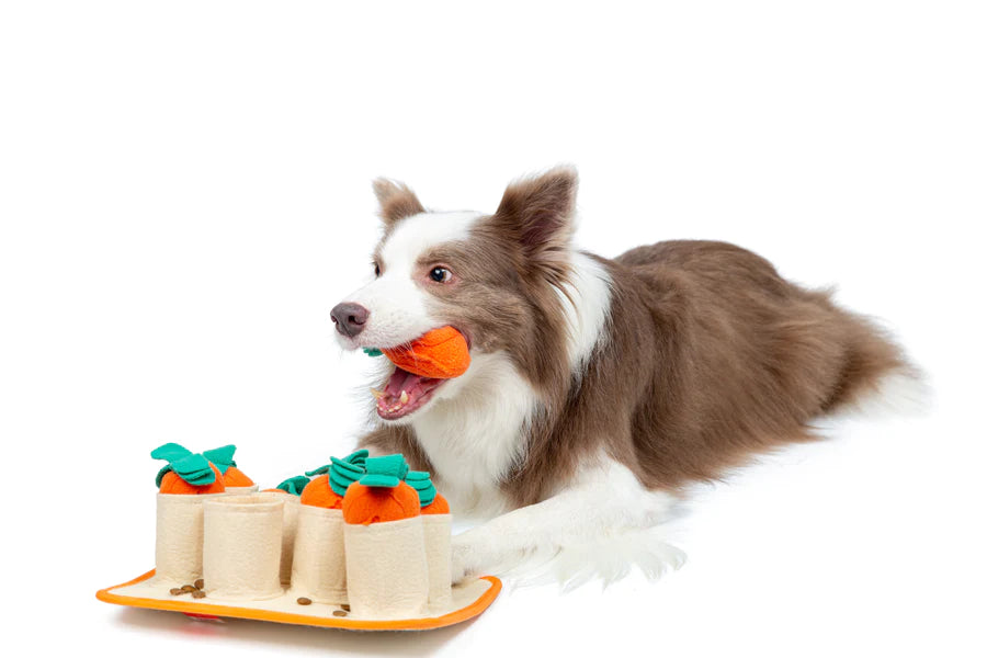 Carrot Patch Snuffle Toy