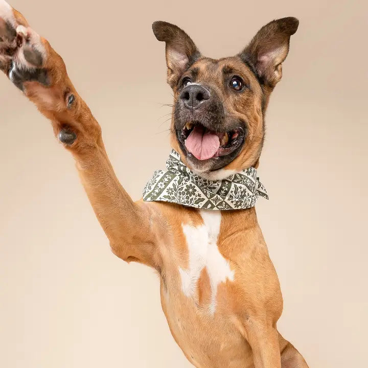 The Paws Fernwood Bandana for Dogs and Cats