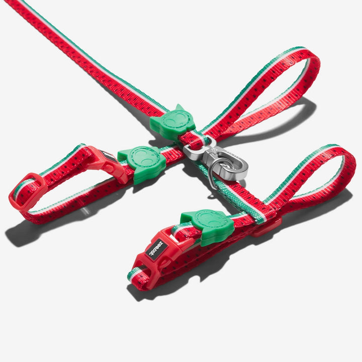 Lola Cat Harness with Leash