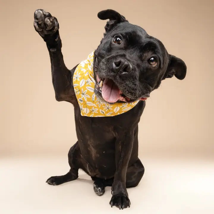 The Paws Golden Fall Leaves Bandana for Dogs and Cats