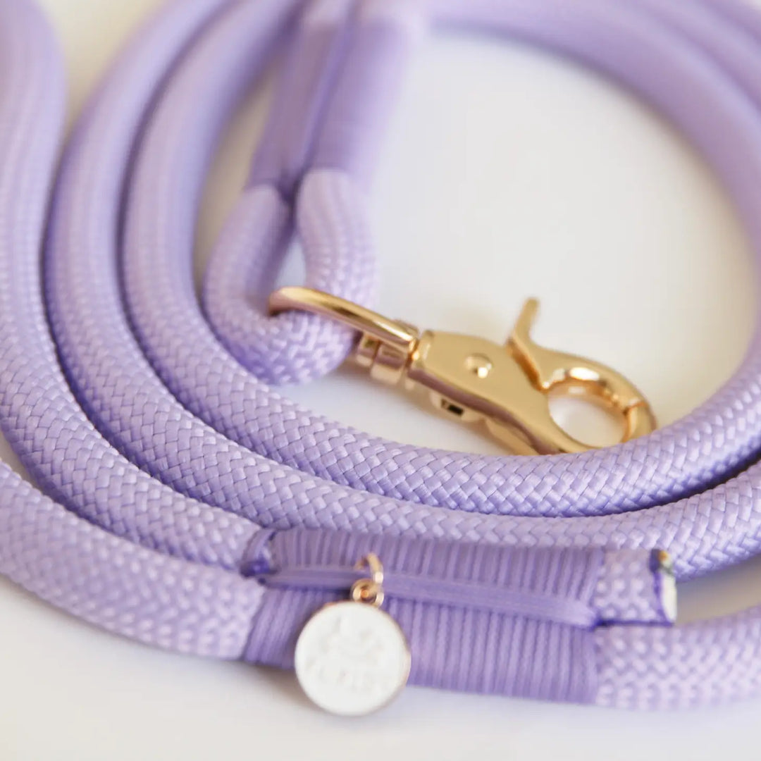 Lavender Braided Rope Dog Leash