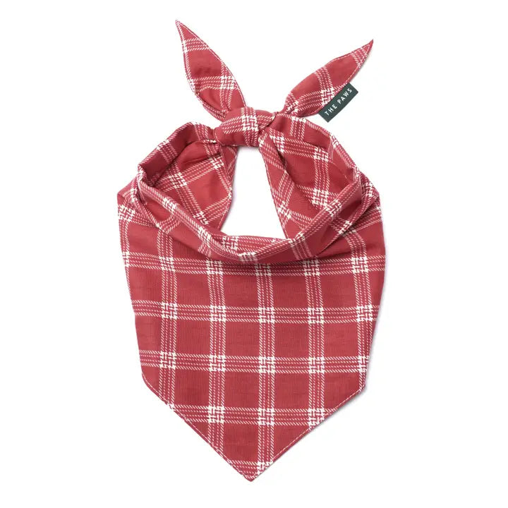 The Paws Cider Bandana for Dogs and Cats