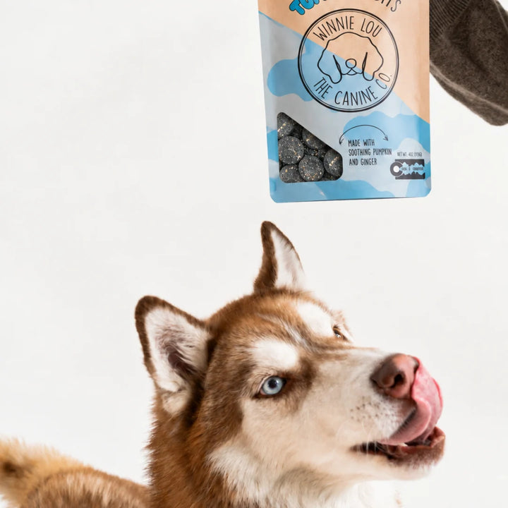 Tummy Tidbits Charcoal Dog Treats 4oz