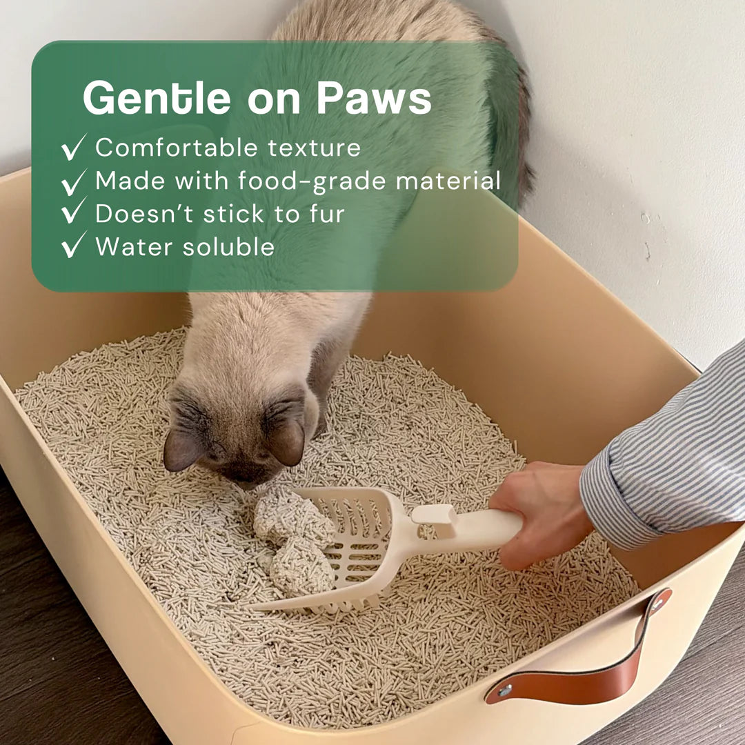 Dofu Cat Tofu Spa Litter - Apple 11lb