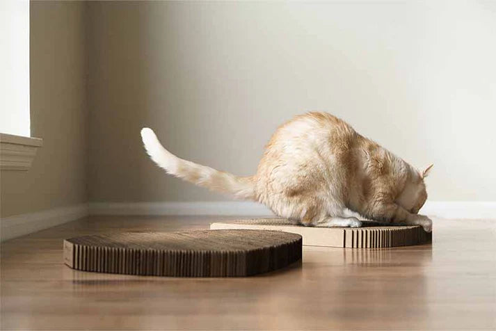 Cat-shaped Scratching Pad