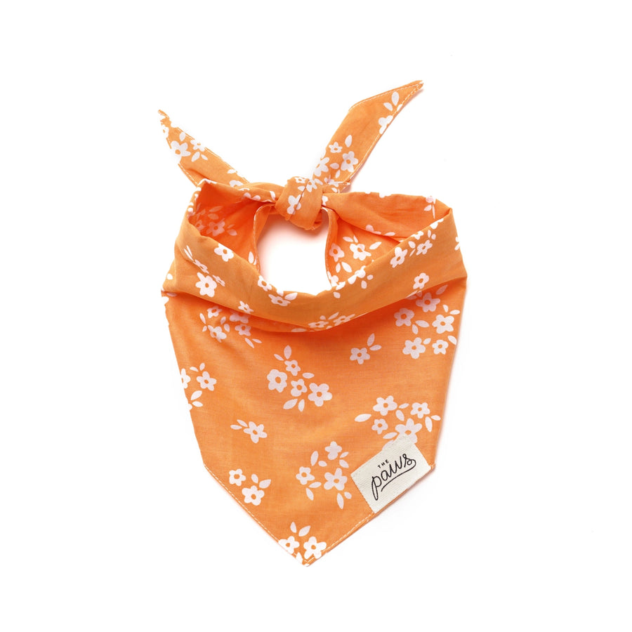 The Paws Easton Bandana