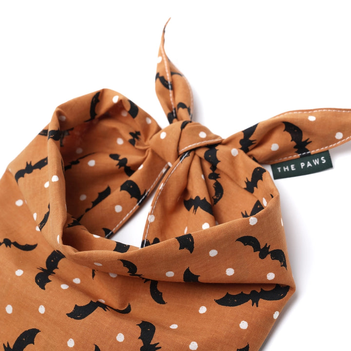 The Paws Batty Halloween Bandana for Dogs and Cats
