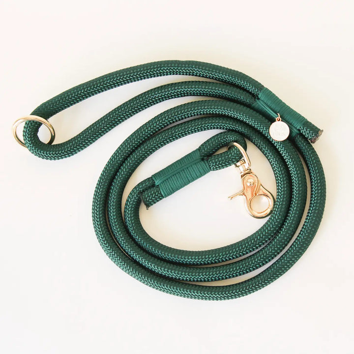 Evergreen Braided Rope Dog Leash