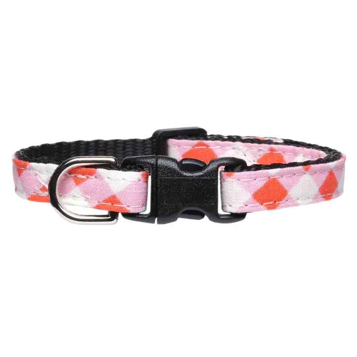 The New Neighbor Cat Collar
