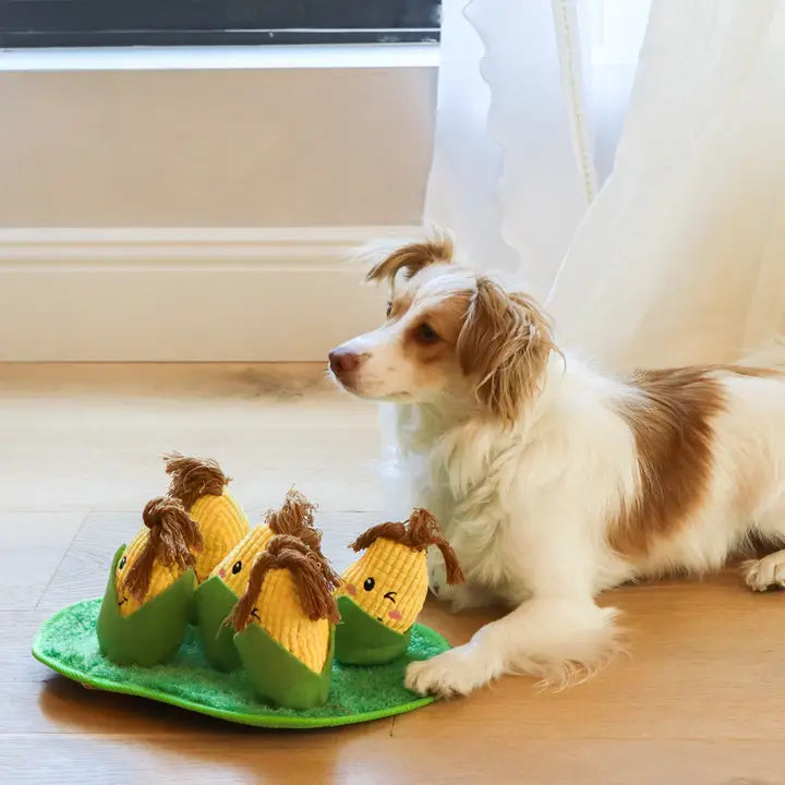 Corn Maze Snuffle Toy