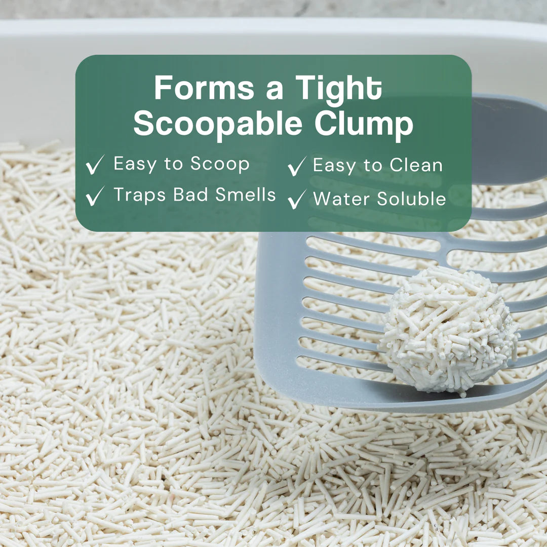 Dofu Cat Tofu Spa Litter - Apple 11lb