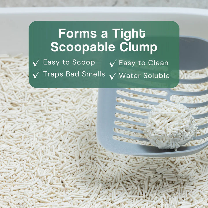 Dofu Cat Tofu Spa Litter - Apple 11lb