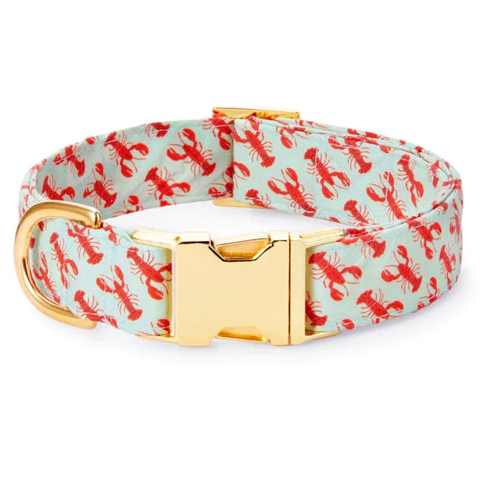 Catch of the Day Collar