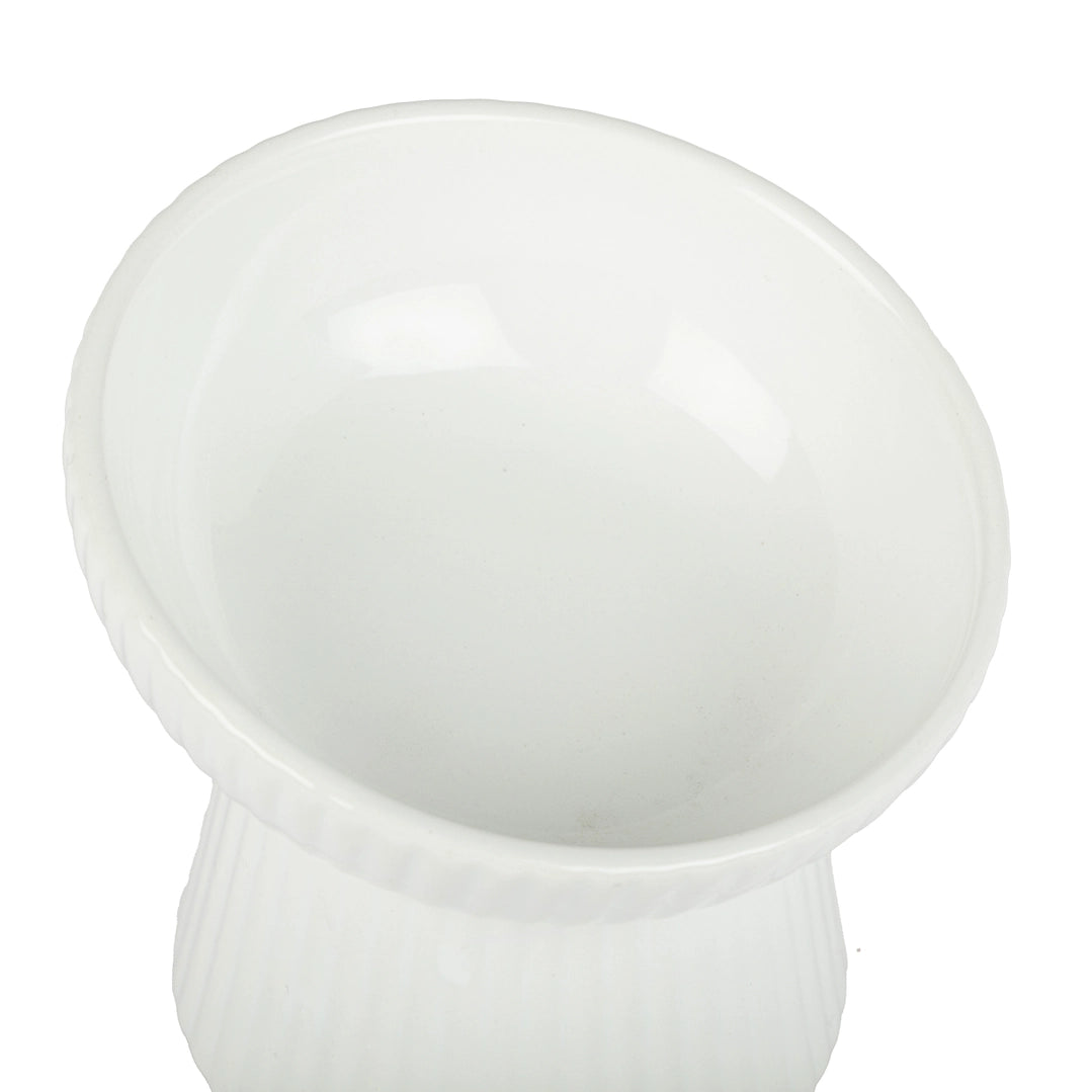 Park Life Designs White Fluted Tilt Ceramic Cat Dish