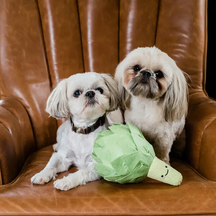 Artichoke Snuffle Toy