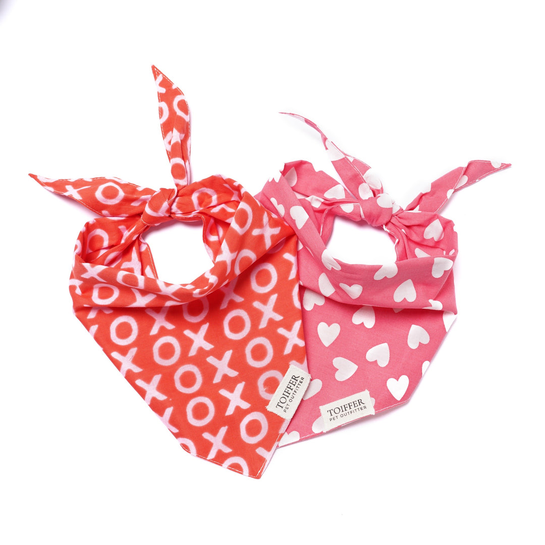 Valentine's Day Xo Bandana for Dogs and Cats